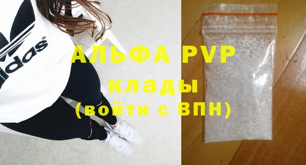индика Переславль-Залесский