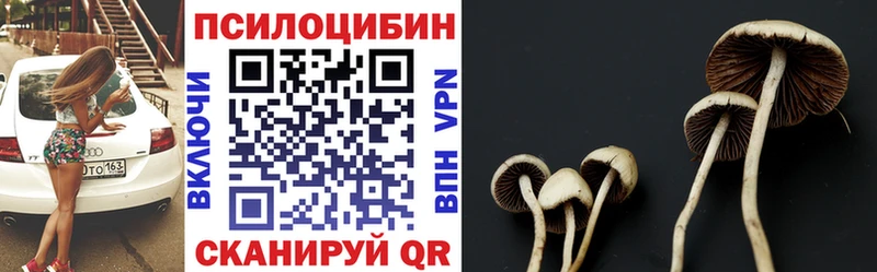 Галлюциногенные грибы Cubensis  Лениногорск 