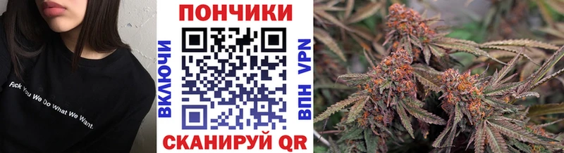 Марихуана планчик  маркетплейс Telegram  Лениногорск  хочу наркоту  MEGA tor 